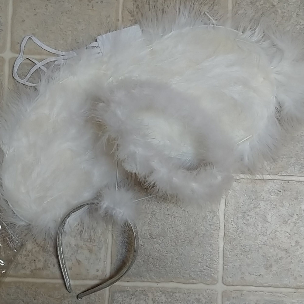 Feathered Wings/Halo